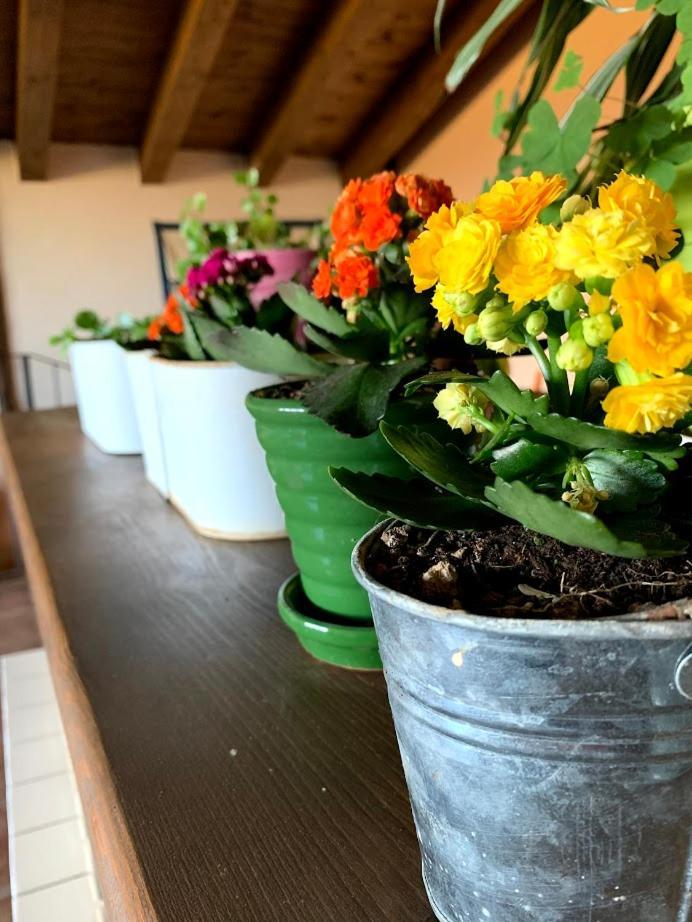 Masia De La Serra De La Cogulla Penarroya De Tastavins Luaran gambar
