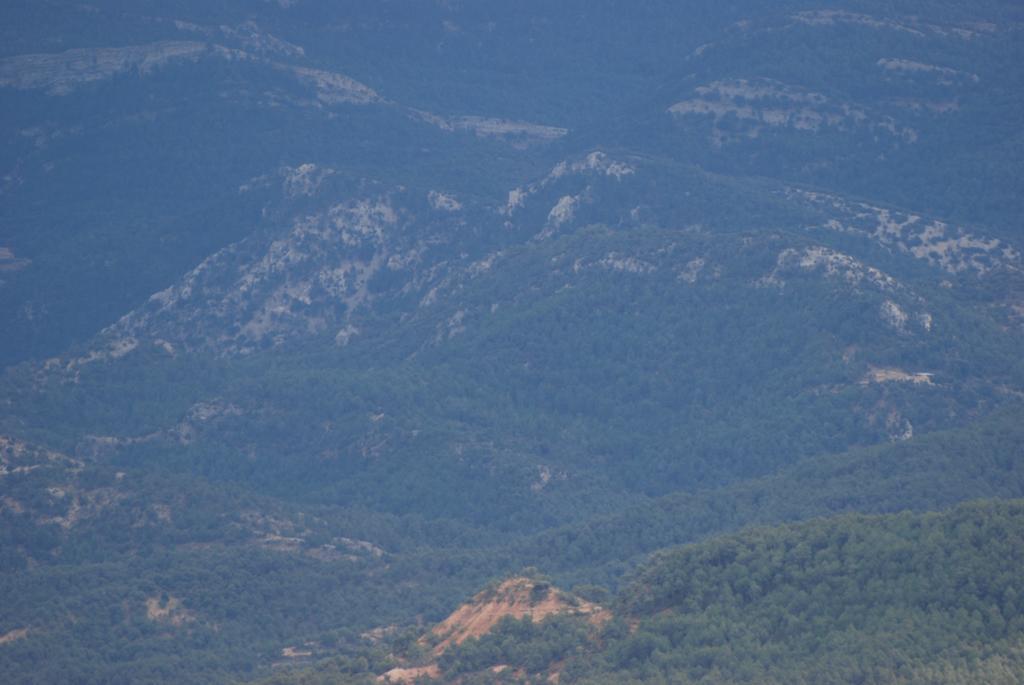 Masia De La Serra De La Cogulla Penarroya De Tastavins Luaran gambar