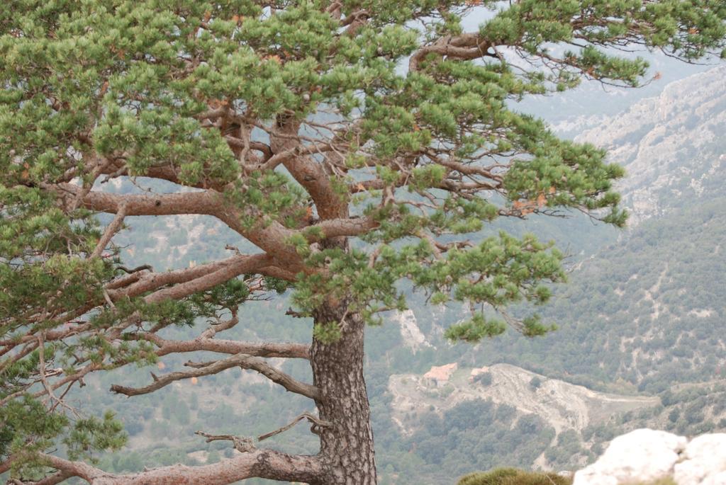 Masia De La Serra De La Cogulla Penarroya De Tastavins Luaran gambar